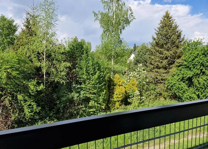 Skansen Forest * Liszki